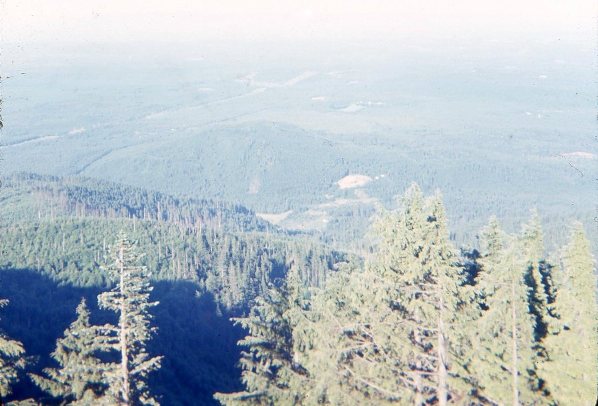 lookout tower