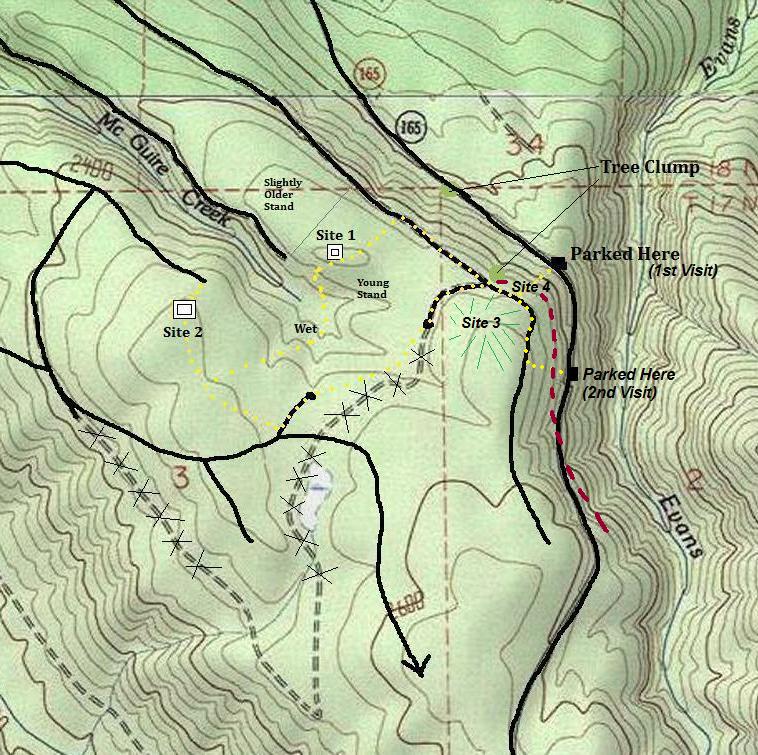 mcguire map