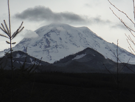 Mount Rainier