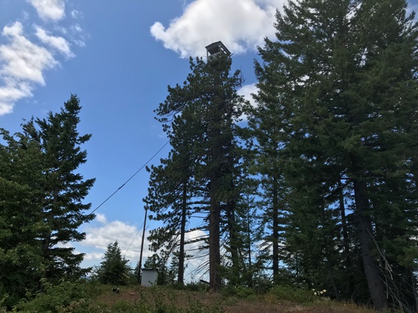 meadow butte lookout