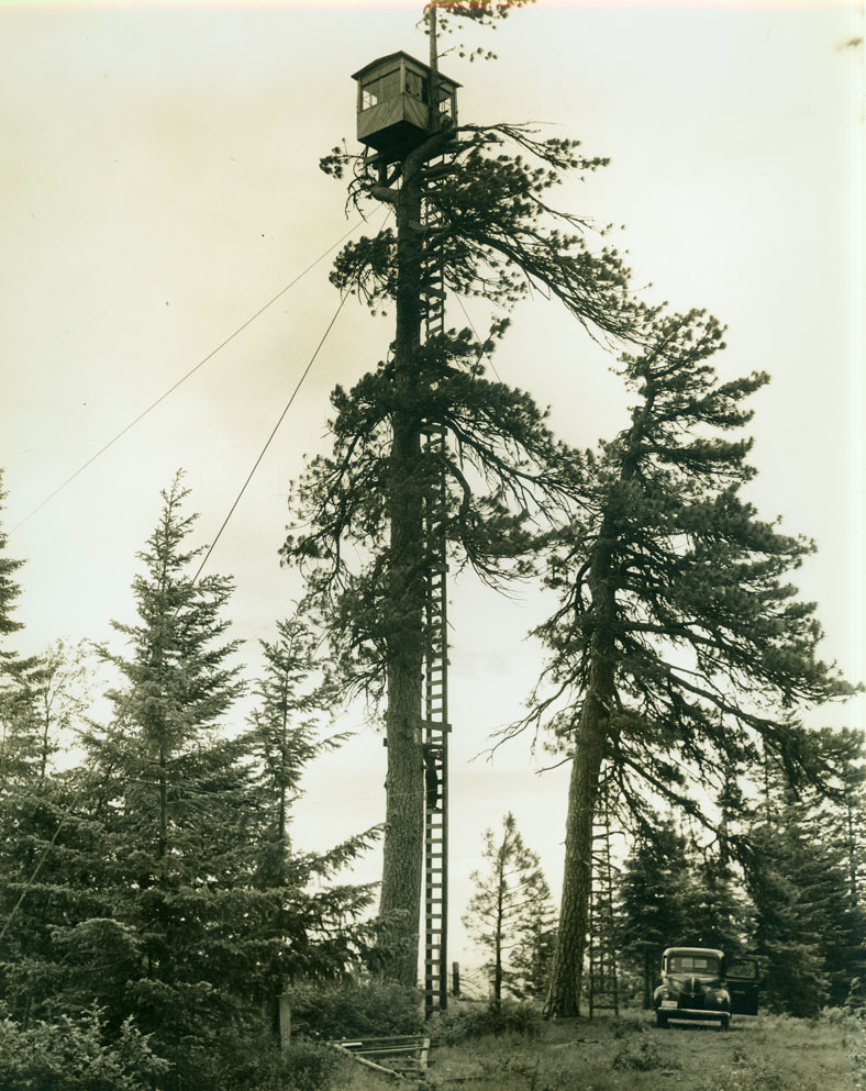 meadow butte lookout