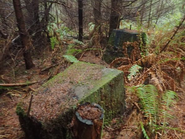 mobrey lookout footings