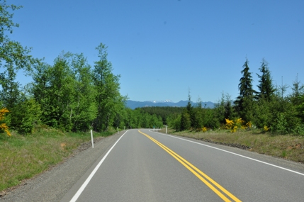 Wynoochee Valley Road 