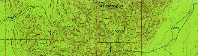 octopus map