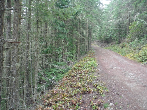 walk