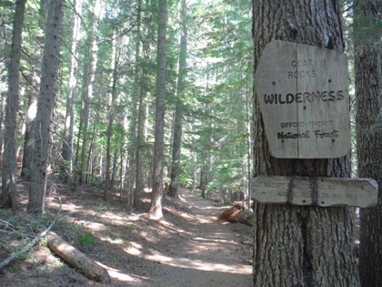wilderness