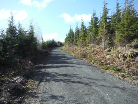 logging road