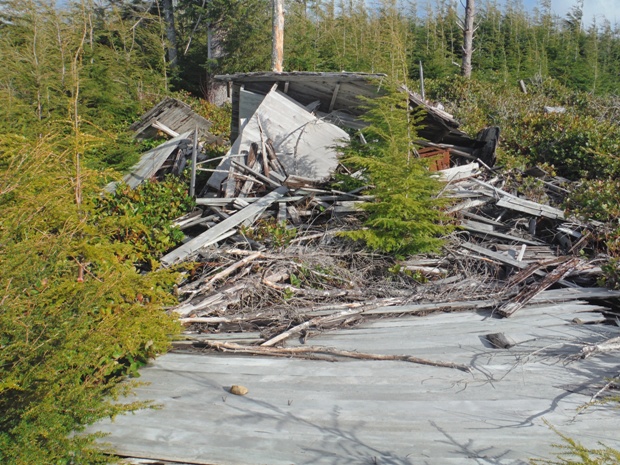 Neah Lookout house