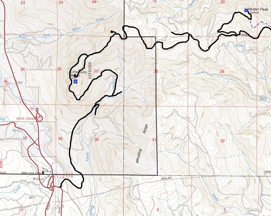 Nestor Peak Lookout map