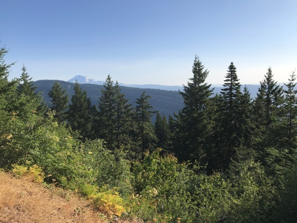 nestor peak view