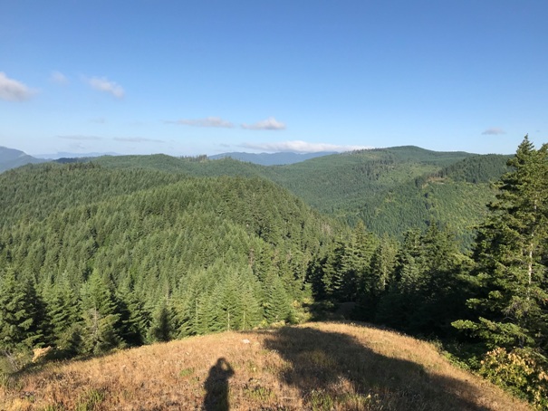 nestor peak view