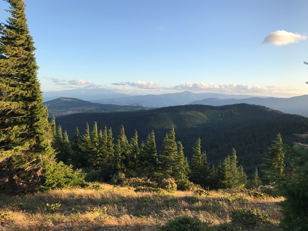 nestor peak view