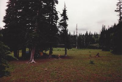 Basin Lake