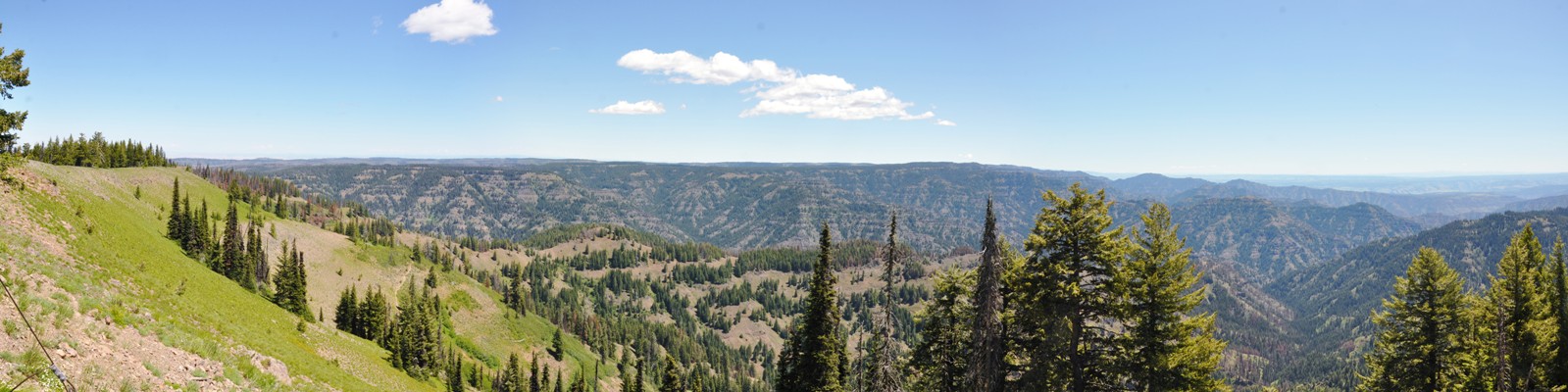 oregon butte view