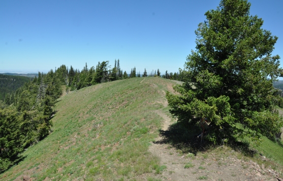 oregon butte view