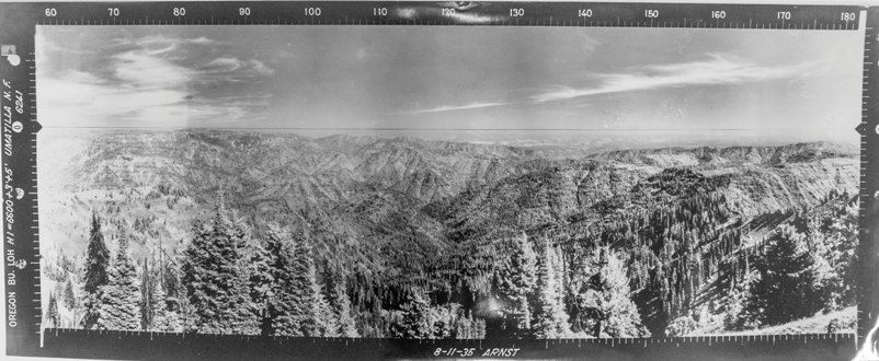 oregon butte view