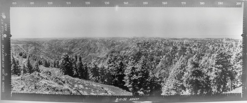 oregon butte view