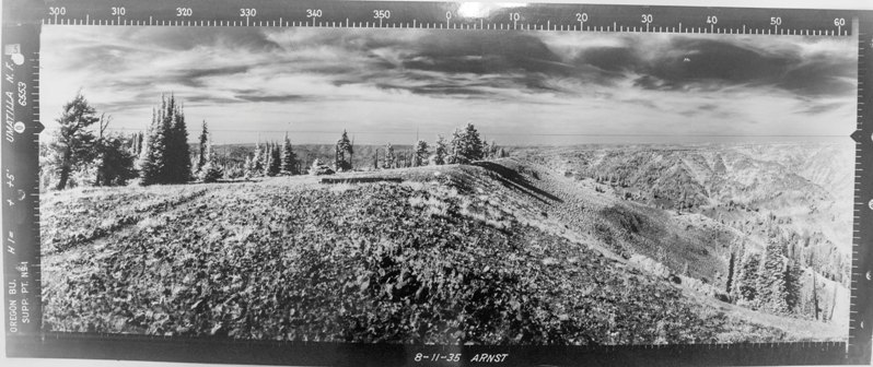 oregon butte view