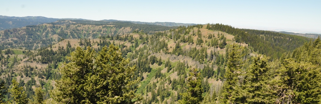 oregon butte view