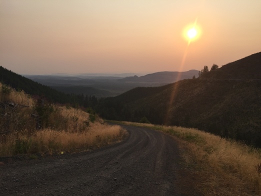 logging road