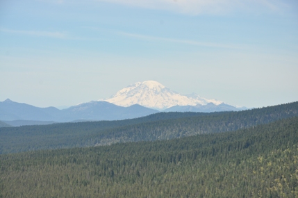 Mount Rainier