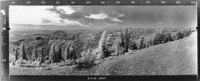 saddle butte