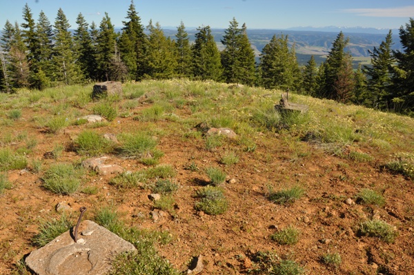 saddle butte lookout