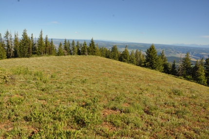 saddle butte