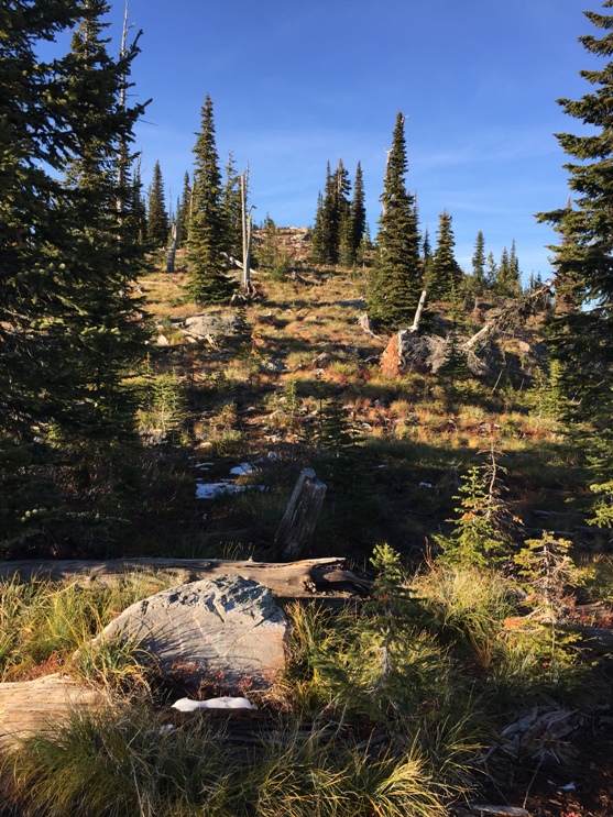 hiking salmo mountain