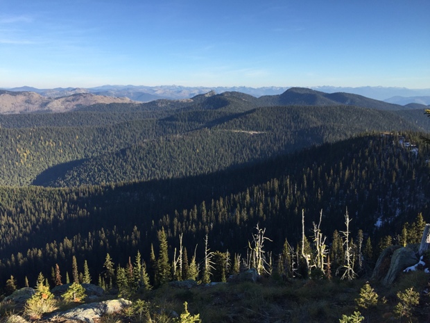 Shedroof Mountain