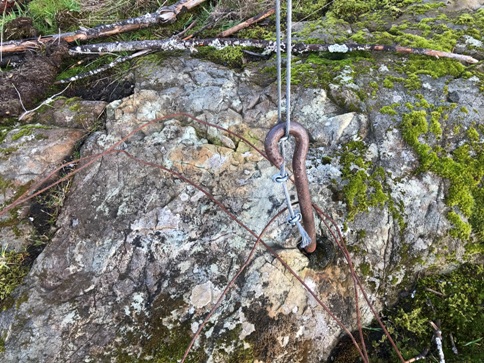 Anchor 