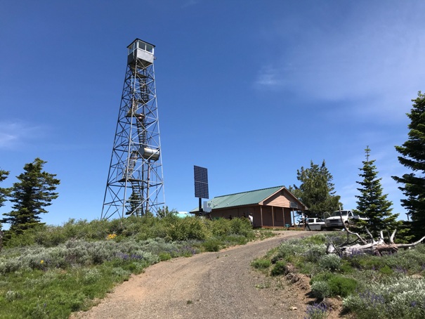 Signal Peak Lookout