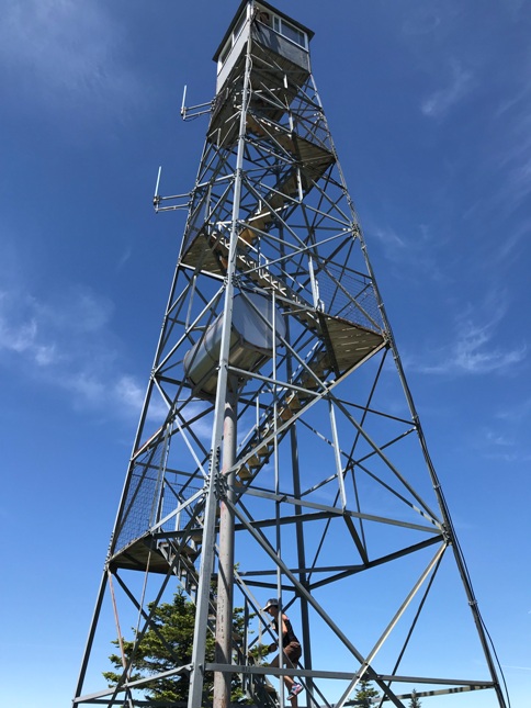 Signal Peak Lookout