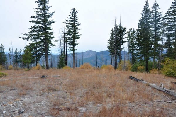 Baldy Mountain 