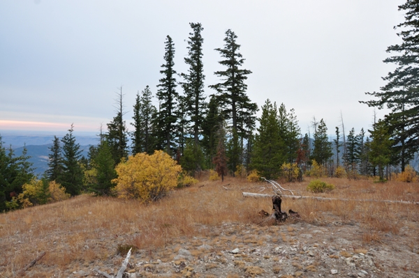 lake chelan area