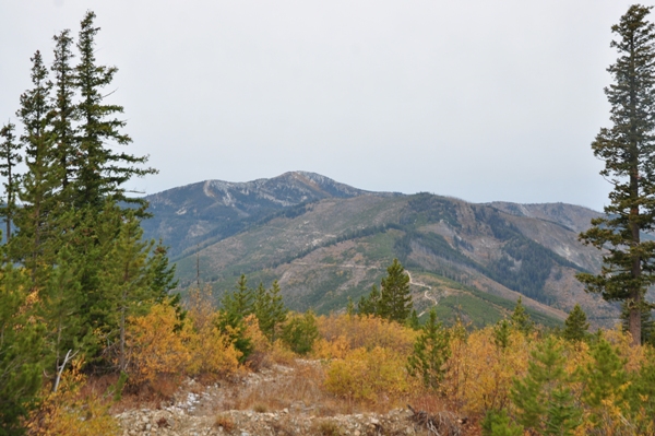 Stormy Mountain 