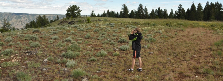 round prairie