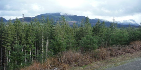 Cascade Lookout 