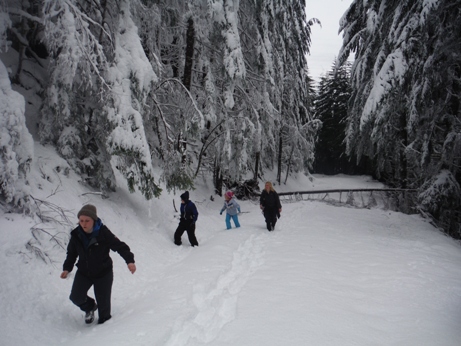 logging road