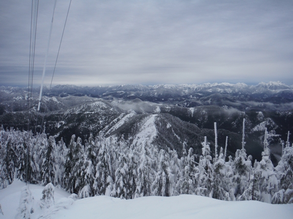 olympic mountains