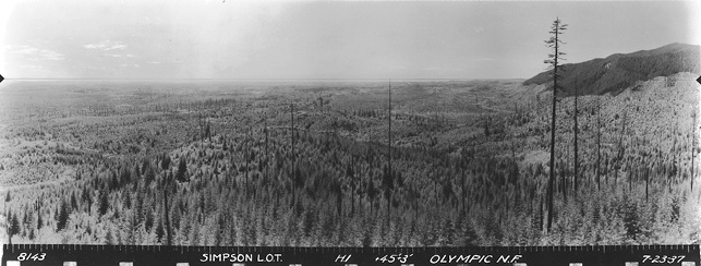 simpson hill lookout