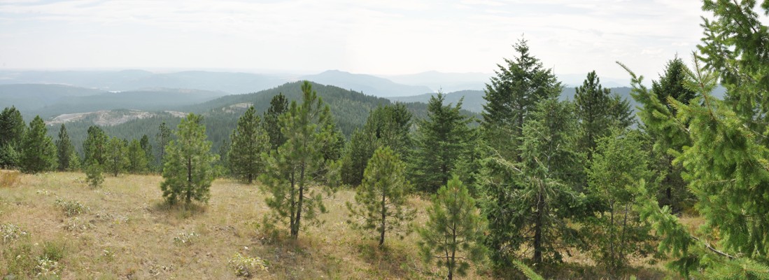 spokane mountain