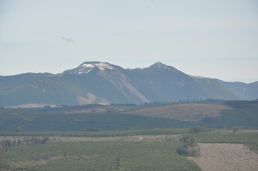 Old Baldy 