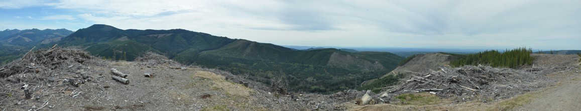 St. Paul Lookout        