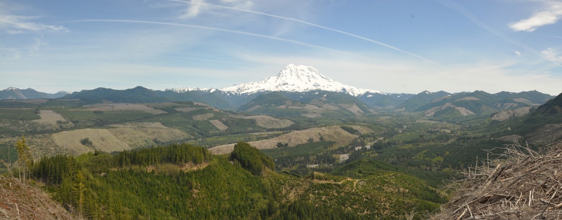 Mount Rainier 