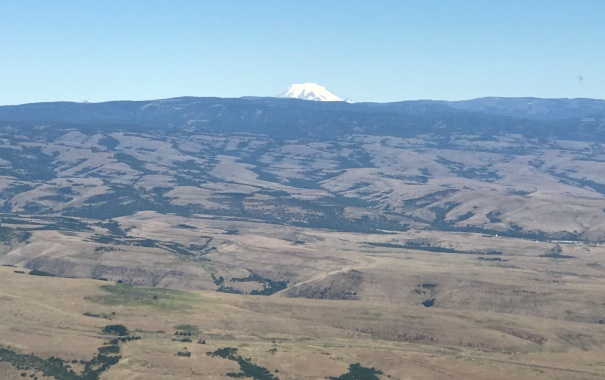 Mount Rainier