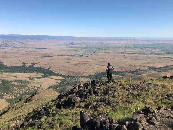 status peak lookout