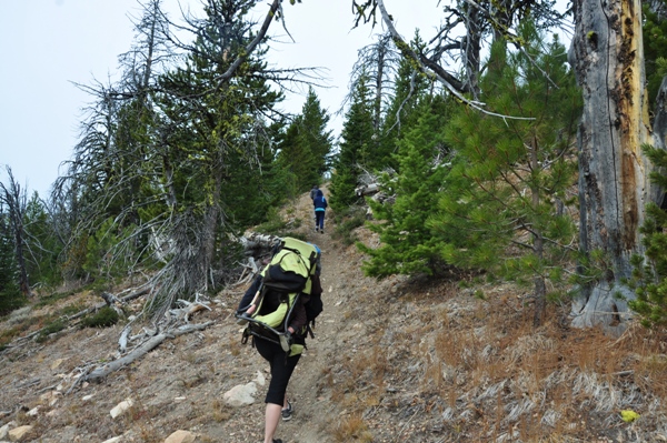 Stormy Mountain Trail