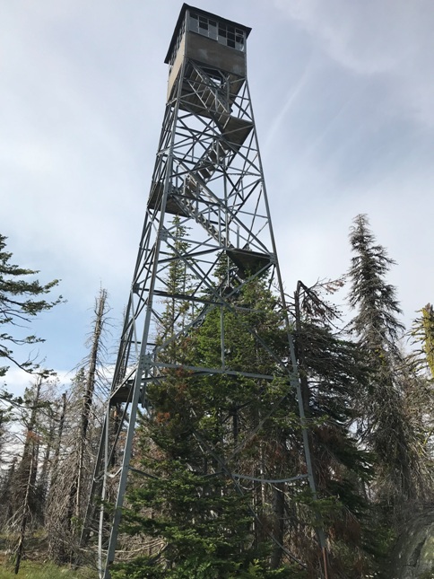 strawberry lookout tower