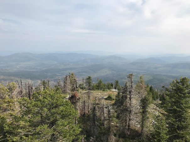 strawberry mountain views